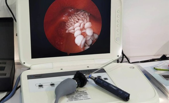 益柯達便攜式內(nèi)窺鏡冷光源